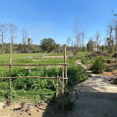 Nanu'S Bardiya Homestay Exterior foto