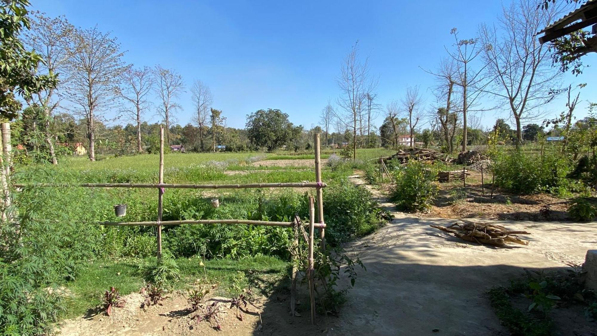 Nanu'S Bardiya Homestay Exterior foto